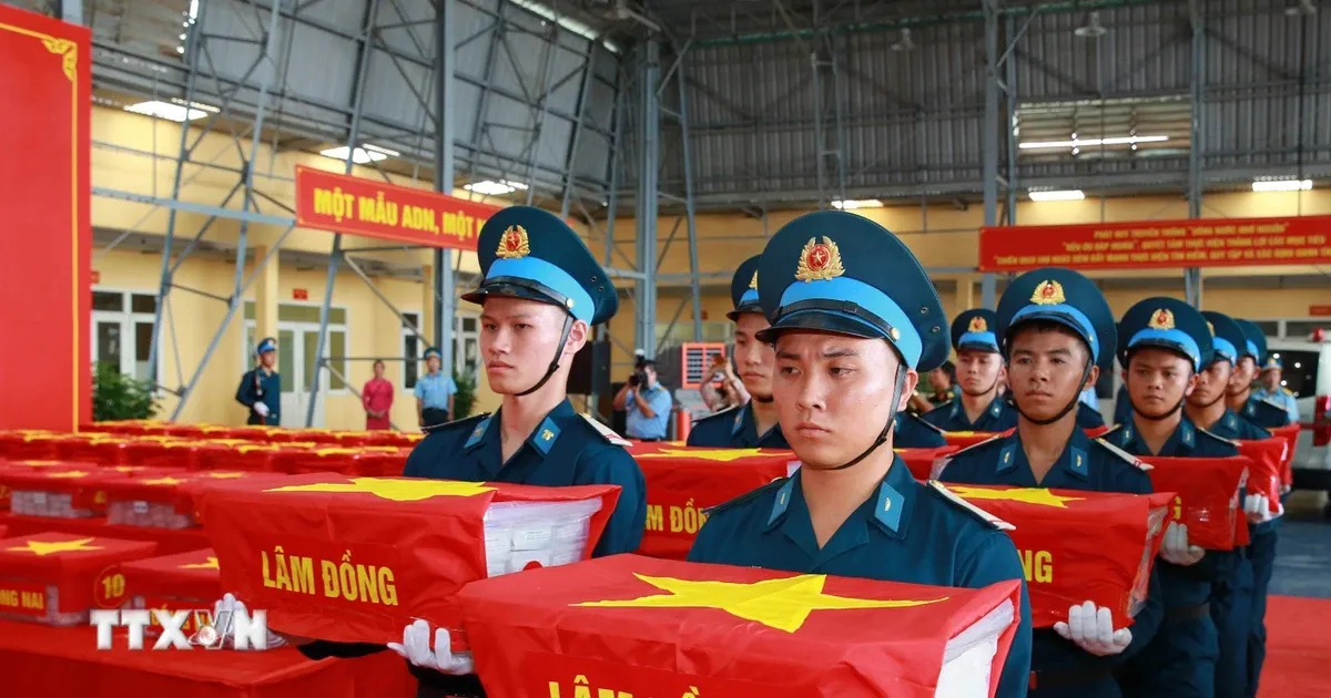 13.563 mẫu sinh phẩm và cuộc tìm lại tên cho các liệt sĩ