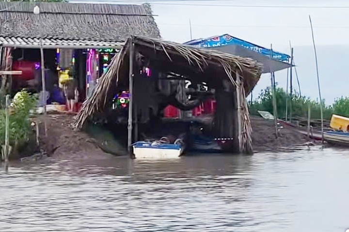 vỏ l&atilde;i ảnh 2
