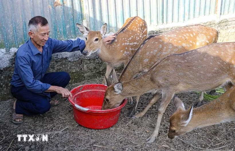 Hội nghị Trung ương 4: Đổi mới tư duy khuyến khích đảng viên làm kinh tế