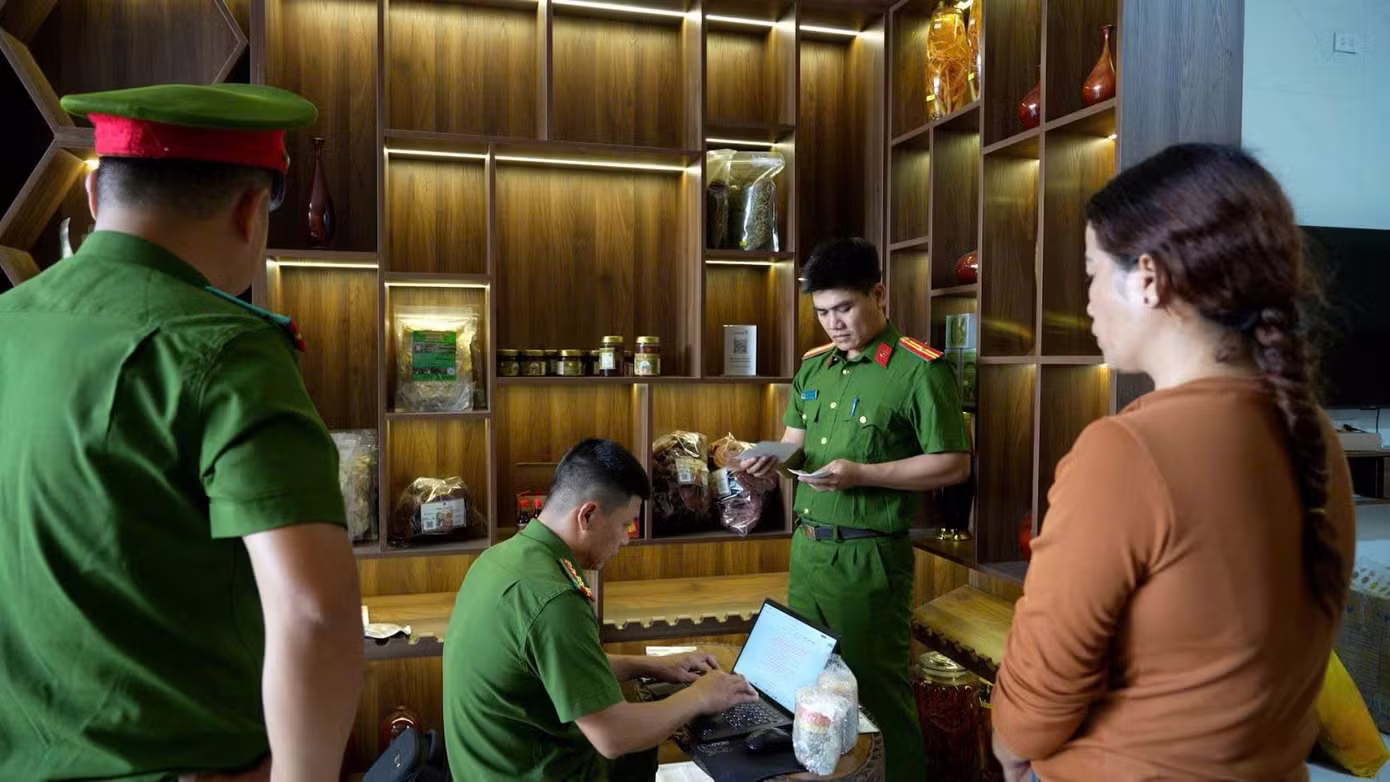gi&agrave; l&agrave;ng t&acirc;y nguy&ecirc;n ảnh 3
