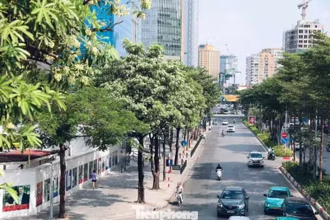 h&agrave; nội ảnh 1