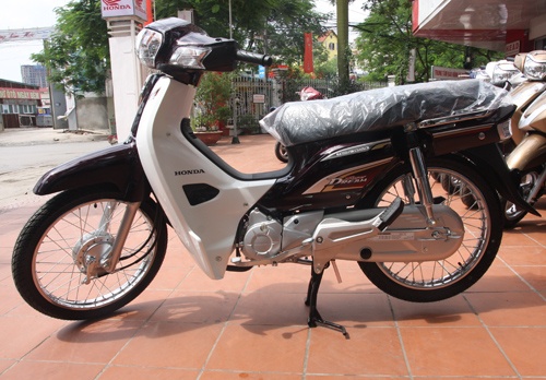 Xe Dream 110 ve tinh le, Dream 100 doi gia hinh anh