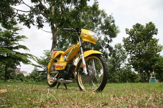 Do xe co tai Sai thanh de mang qua Phap hinh anh
