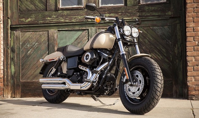 Harley-Davidson Fat Bob 2014: Tan trang dien mao hinh anh