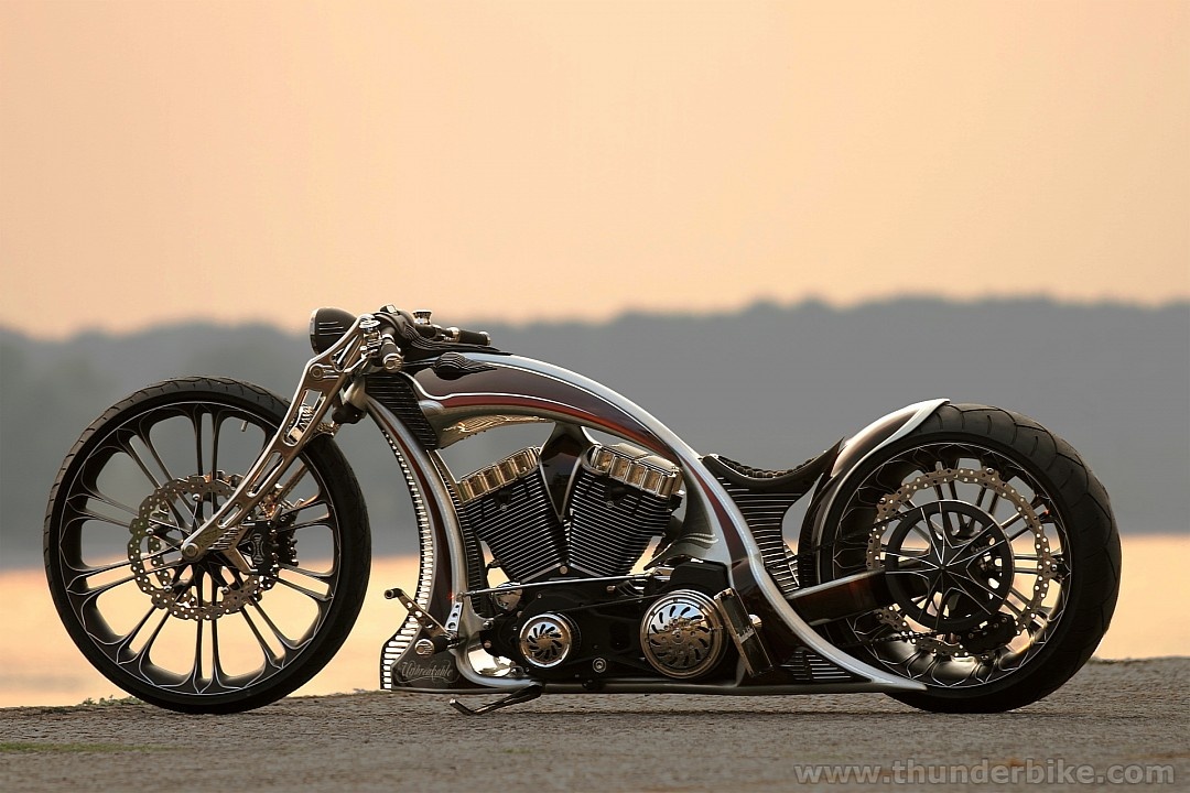 Mo to Harley-Davidson do tuyet dep hinh anh