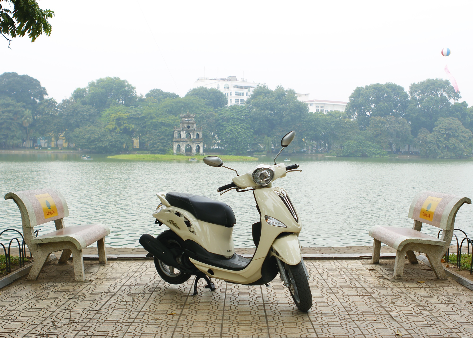 Chon xe tay ga nao cho nu? hinh anh