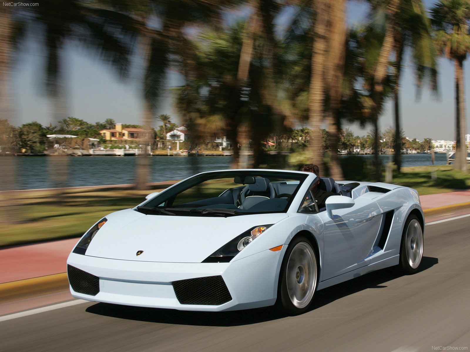 Lamborghini Gallardo - 10 nam de tro thanh 'huyen thoai' hinh anh