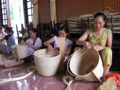 Nganh may tre va co hoi ty do hinh anh