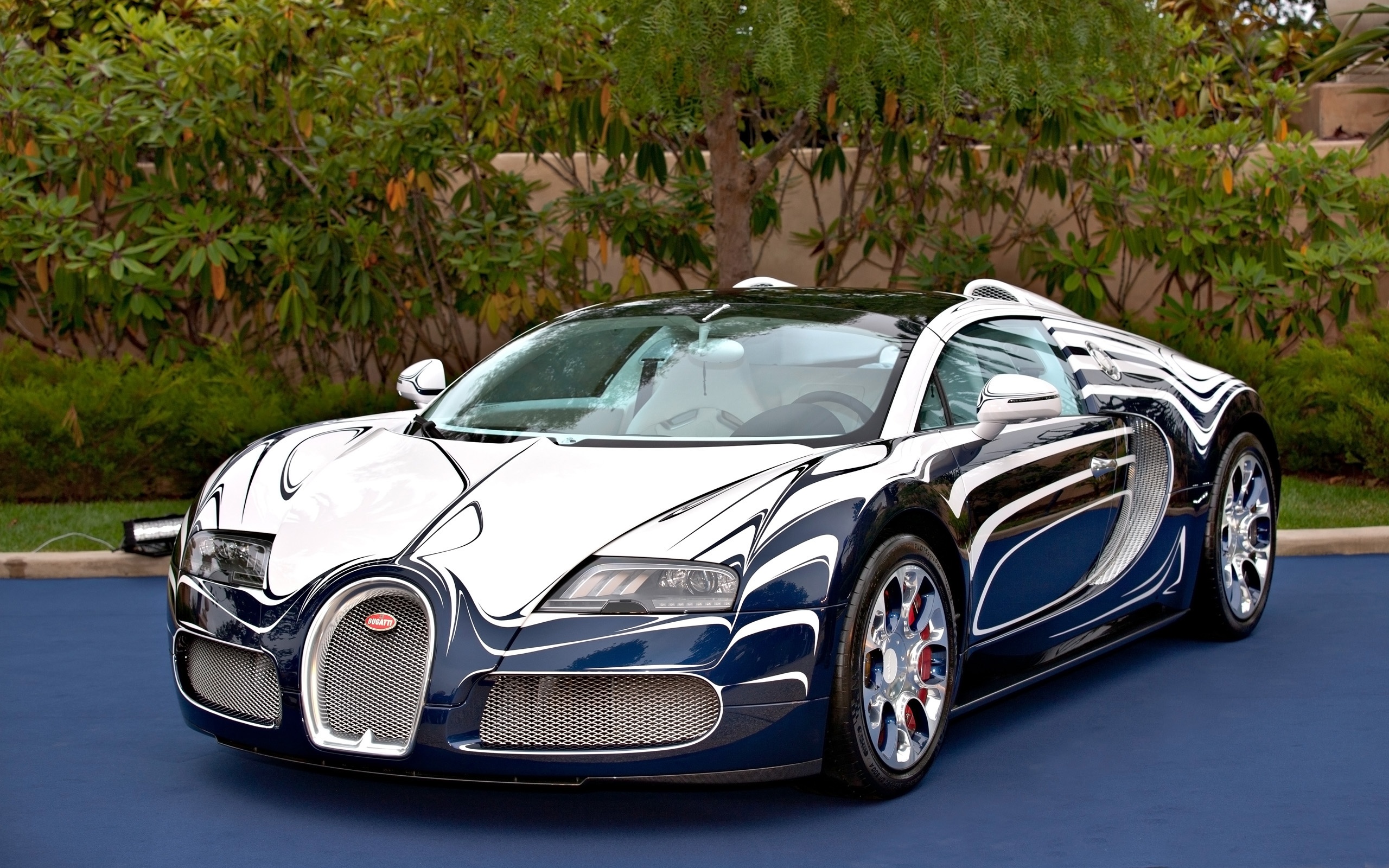 10 phien ban dac biet an tuong nhat cua Bugatti Veyron hinh anh