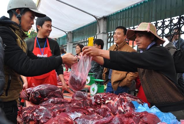 Hau choi trau, dau 'nguu vuong' co gia 10 trieu dong hinh anh