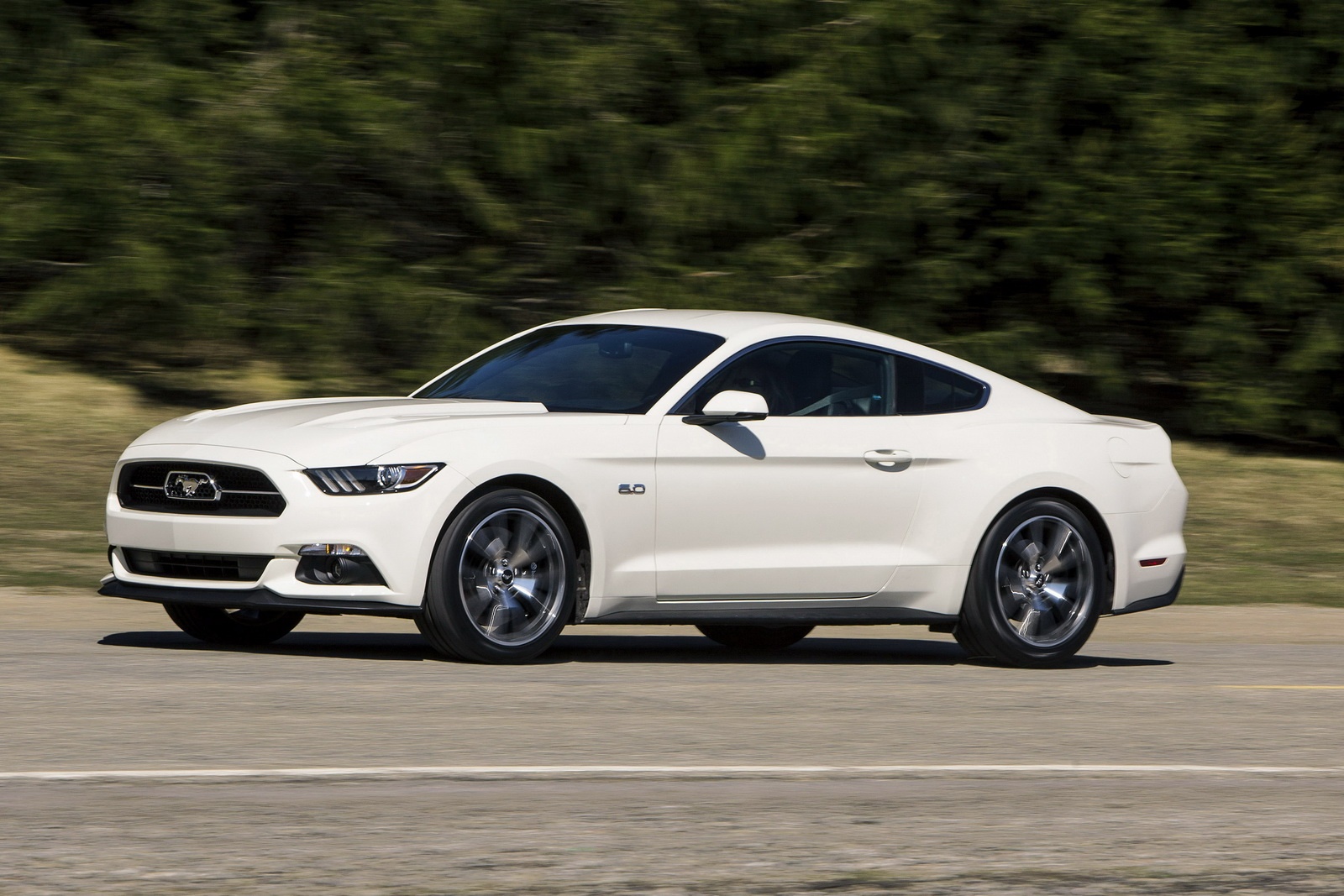 Ford Mustang phien ban dac biet mung sinh nhat hinh anh