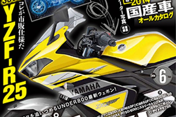 He lo them anh Yamaha YZF-R25 ban san xuat hinh anh