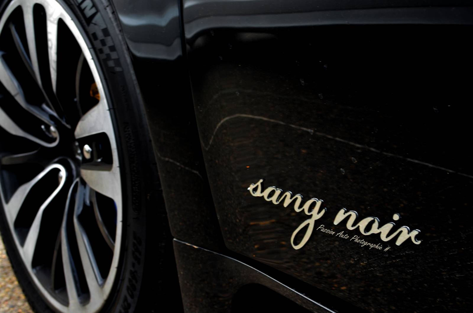 Ngoài sự khác biệt ở màu sắc, mẫu Veyron Sang Noir cũng được trang bị khối động cơ W16, 8,0 lít tương tự như những mẫu Veyron tiêu chuẩn. Khối động cơ này được tích hợp 4 bộ tăng áp, cho công suất 1.000 mã lực và có thể đạt vận tốc tối đa khoảng 404 km/h.