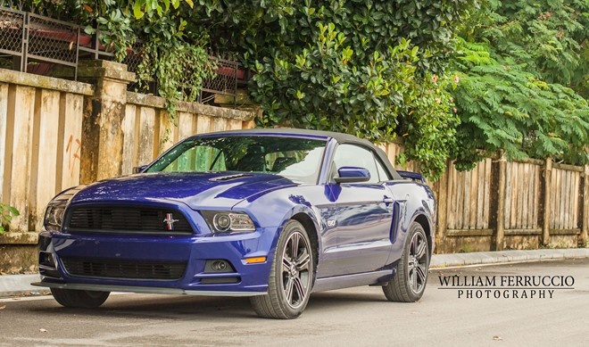 Vẻ đẹp long lanh của trước khi gặp nạn. Ảnh: Hoàng Thanh. 