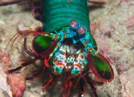 5 san pham cong nghe doc dao tuan qua hinh anh