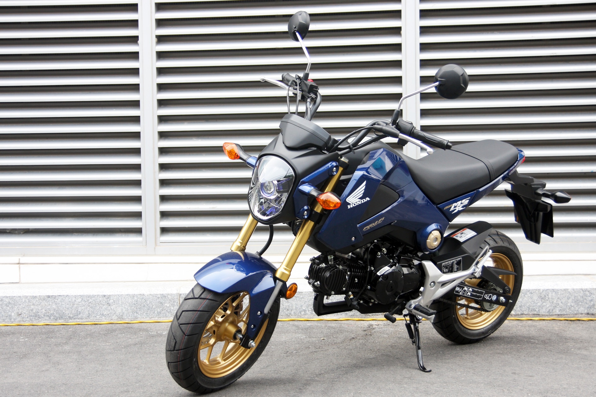 Anh thuc te Honda MSX 125 gia 59,9 trieu vua ra mat o VN hinh anh