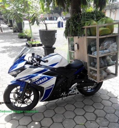 Yamaha R25, Honda CBR250R dung lam xe ban rau qua hinh anh