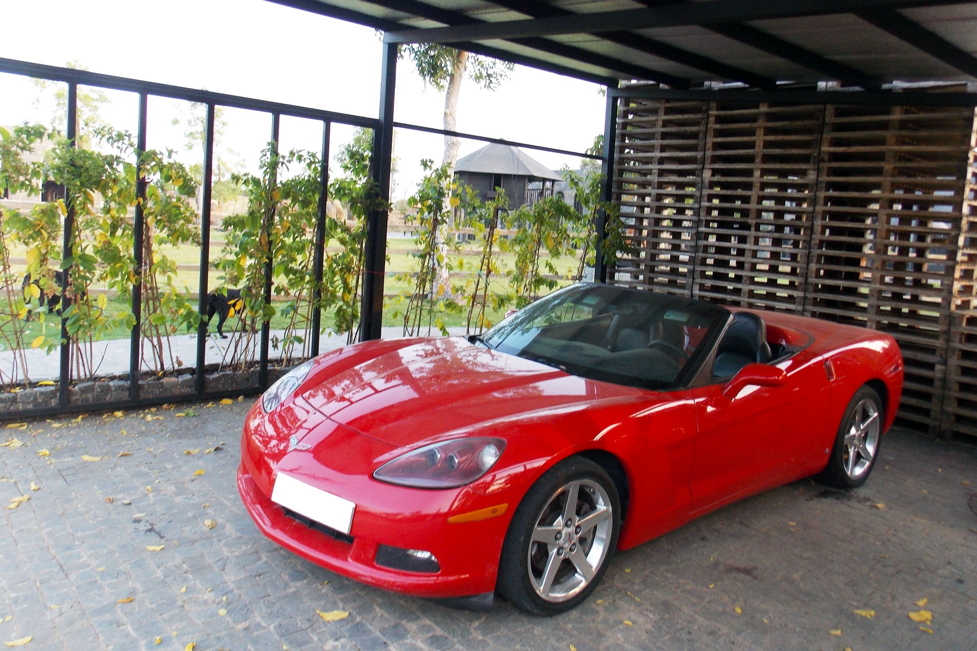 Can canh xe the thao Chevrolet Corvette C6 hiem tai Sai Gon hinh anh