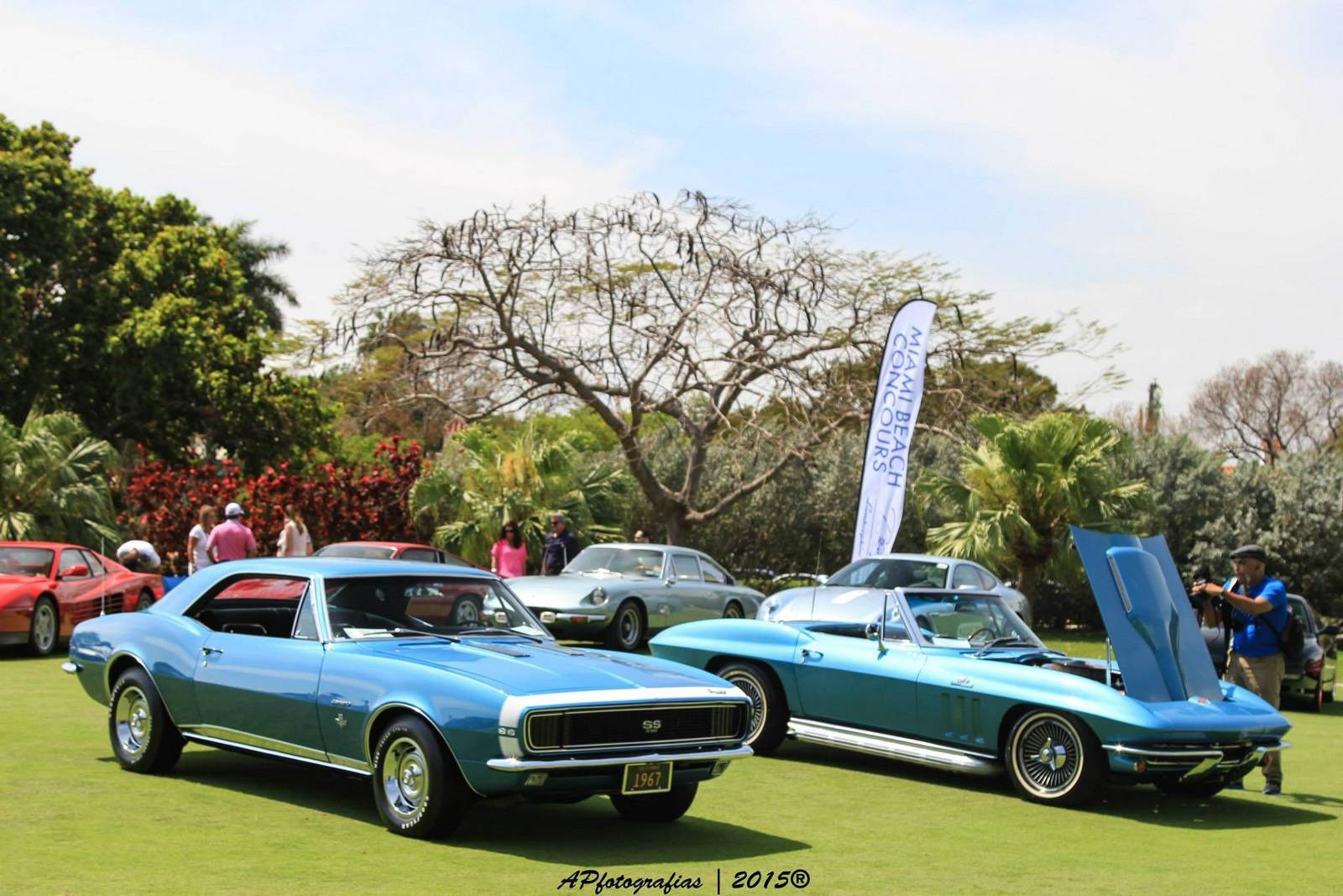 Miami Beach cũng được biết đến là một trong những nơi giàu có và quy tụ nhiều siêu xe hàng đầu trên thế giới. Chính vì vậy, sự kiện Miami Beach Concour không bất ngờ khi có rất nhiều siêu xe hàng đầu thế giới cùng góp mặt.