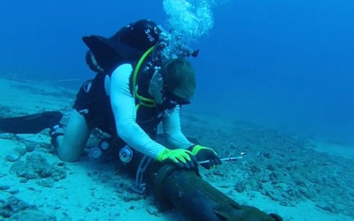 Se mo them tuyen cap quang sang Trung Quoc hinh anh