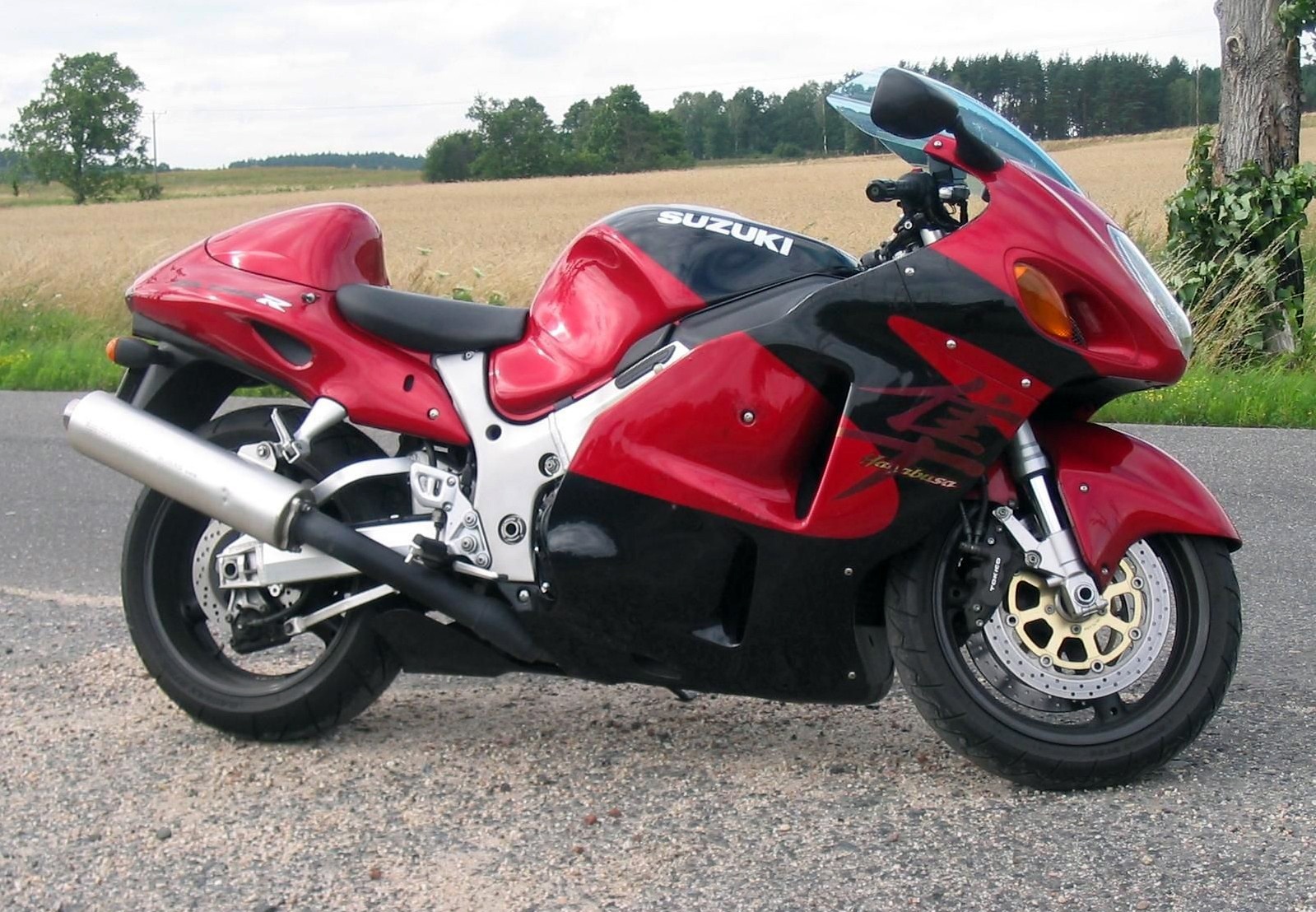 Suzuki Hayabusa GSX1300R đời 1999 được sản xuất trước khi điều luật về tốc độ giới hạn điện tử có hiệu lực. Siêu mô tô của hãng xe Nhật Bản thường được sử dụng hiệu quả trong các cuộc đua đường thẳng, quãng ngắn, do sở hữu tốc độ và khả năng tăng tốc tốt. Cũng chính vì lý do đó, Hayabusa trở thành mối nguy hiểm tiềm tàng cho những người mới chơi xe phân khối lớn. Ngoài ra, thân hình đồ sộ của xe cũng khiến người lái tốn sức hơn nhiều mỗi khi đánh lái. Dù được đánh giá là ông vua đường phố trong nhiều năm liền, nhưng Hayabusa không được khuyến cáo là mẫu xe đầu tiên dành cho những tay lái non kinh nghiệm. 