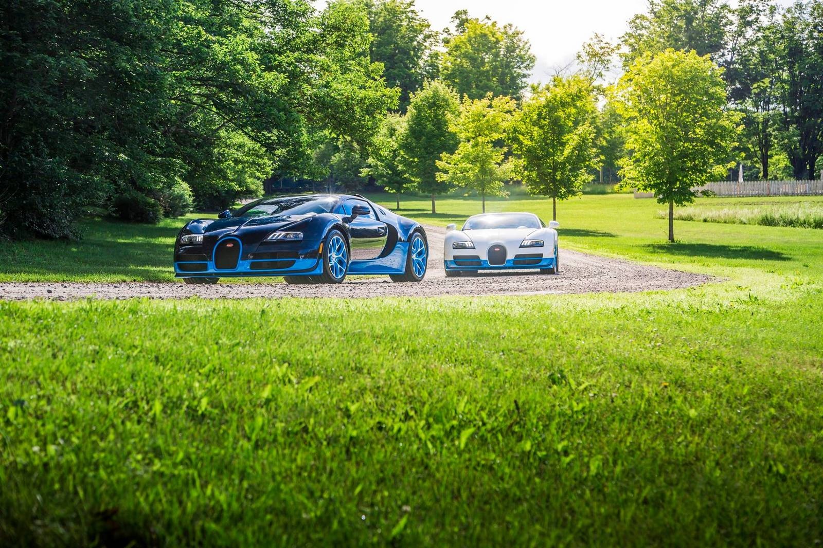 Cap sieu xe mui tran Bugatti Veyron song doi hinh anh