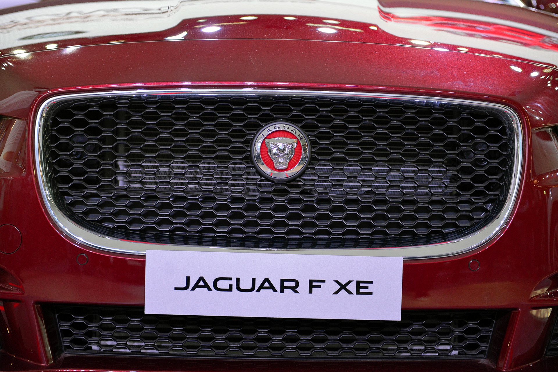 Lưới tản nhiệt hình chữ nhật với các góc bo tròn quen thuộc của Jaguar. 