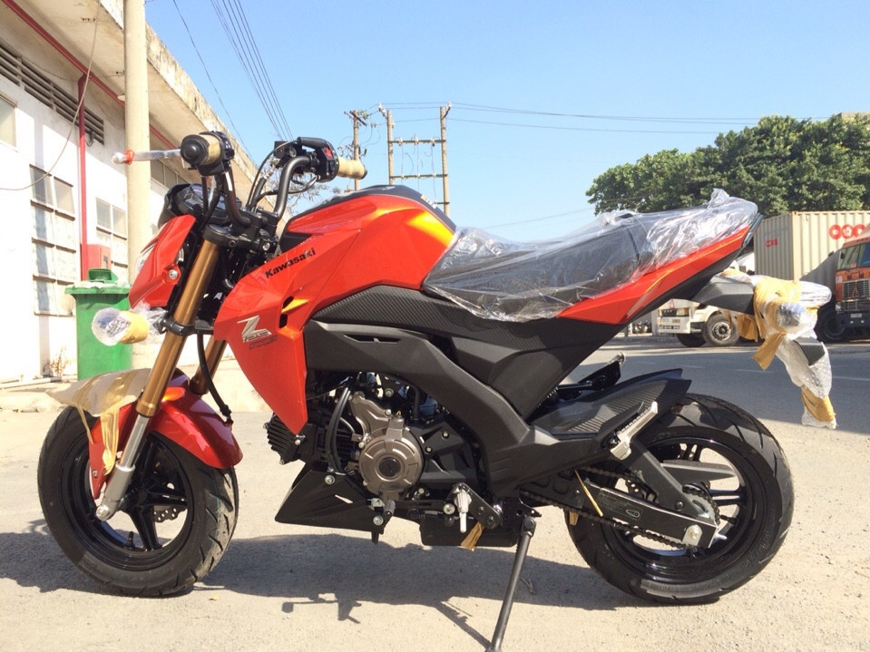 Xe con tay Kawasaki Z125 - doi thu Honda MSX ve Viet Nam hinh anh