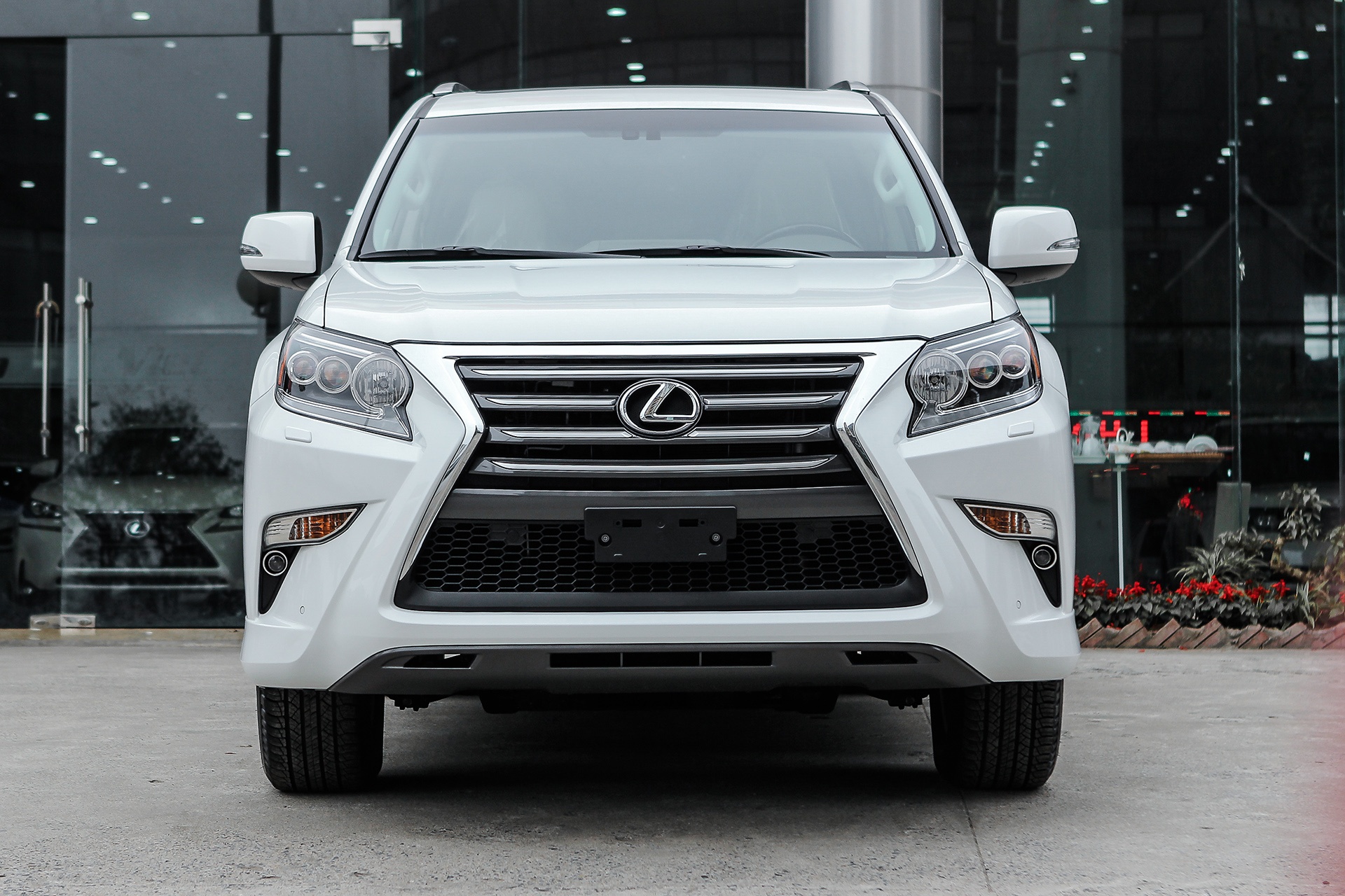 Lexus GX 460 2016 anh 2