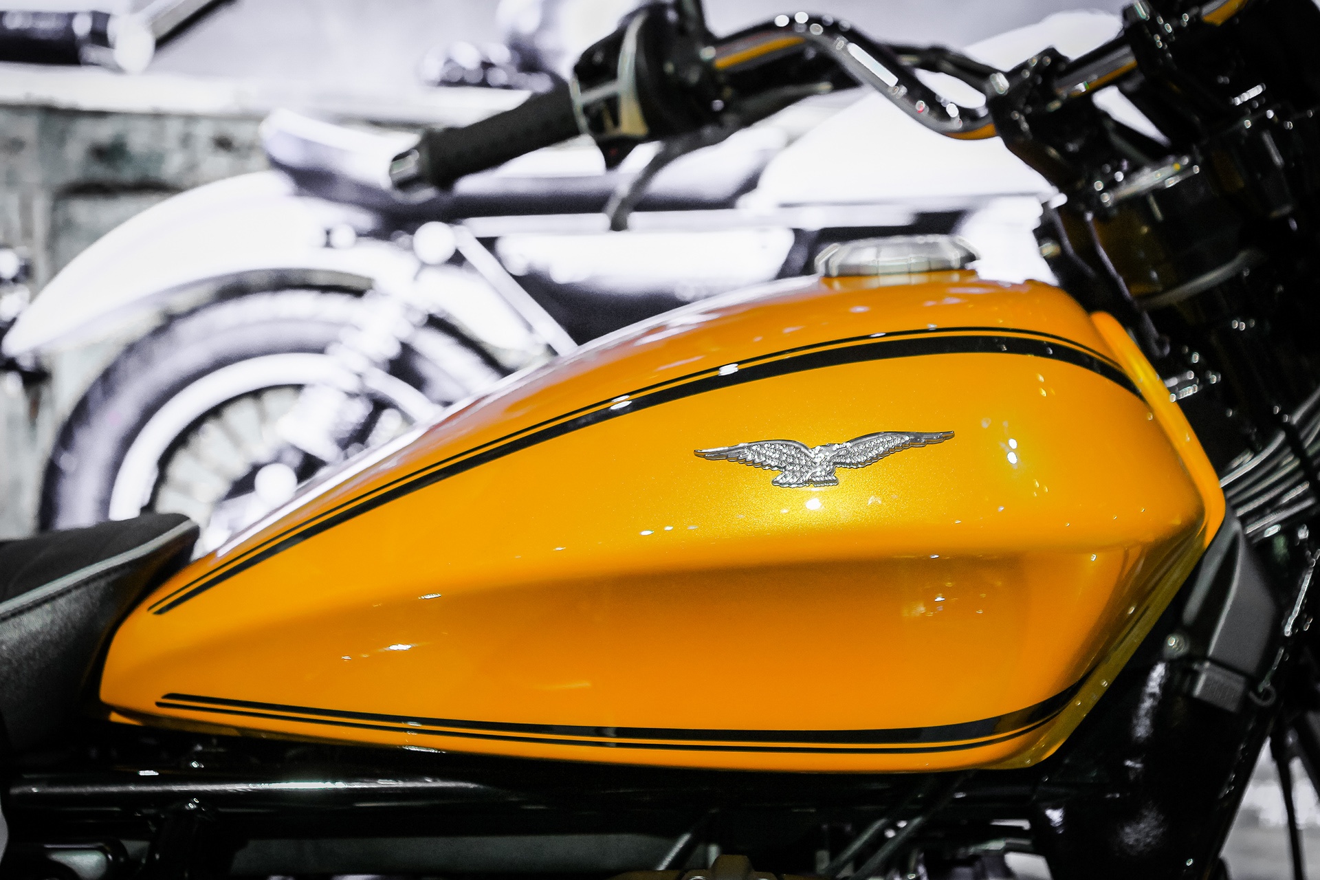 Moto Guzzi V9 Roamer tai viet nam anh 6