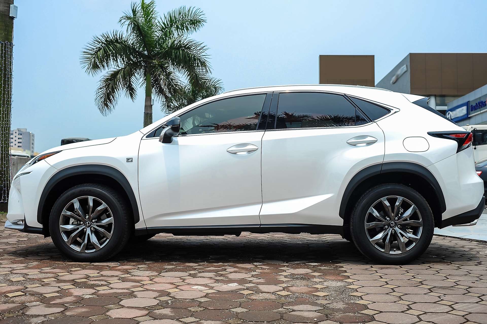 Lexus NX 200t F Sport tai Viet Nam anh 3
