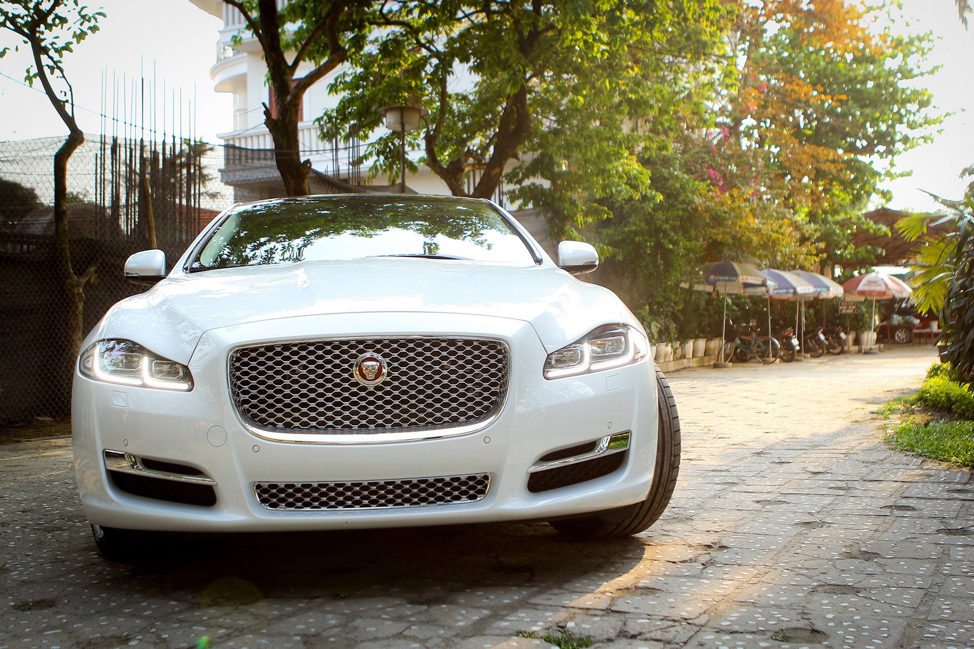 Sedan hang sang Jaguar XJL 2016 gia hon 6 ty tai Viet Nam hinh anh
