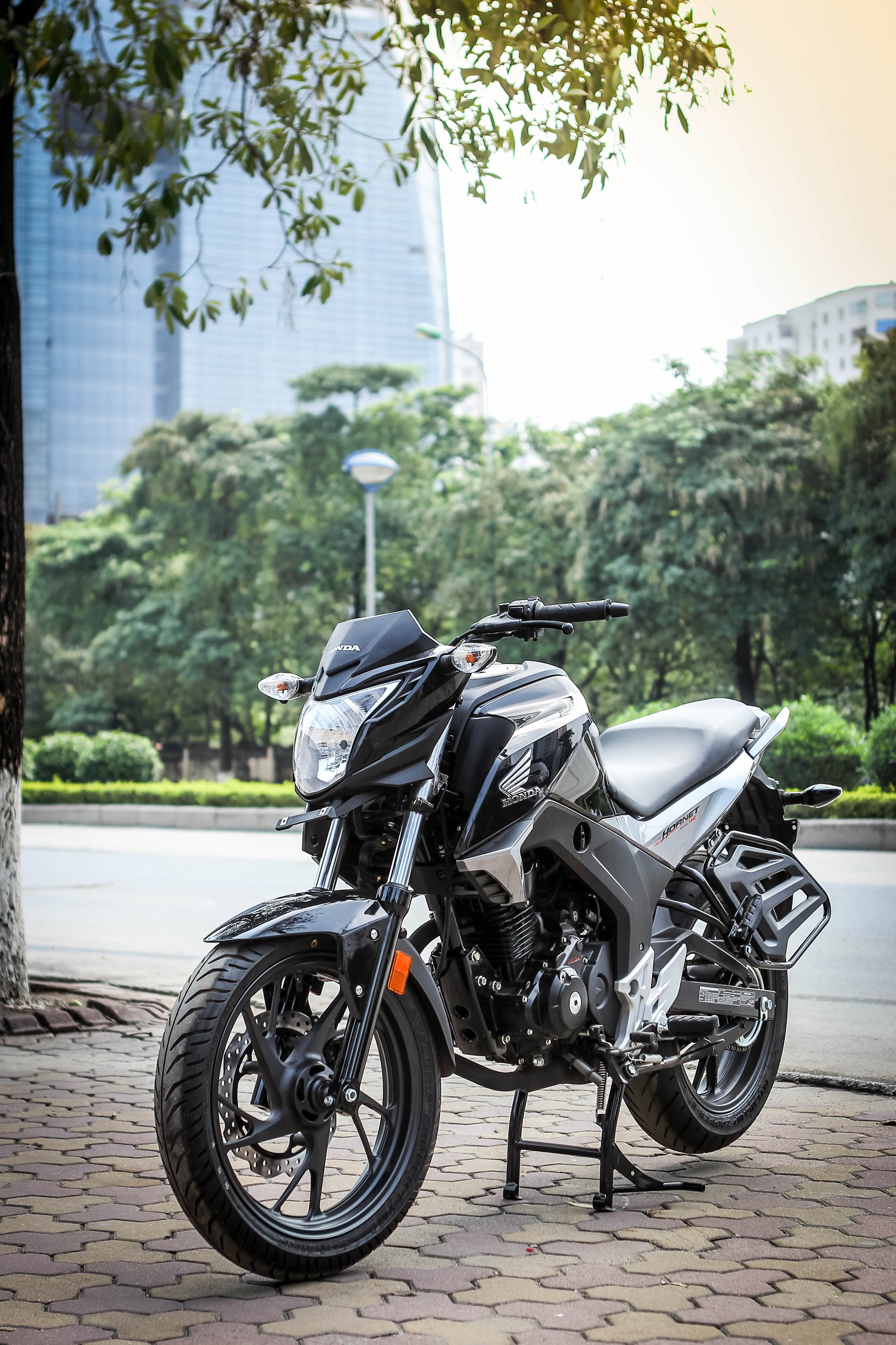 Honda CB Hornet 160R tai Viet Nam anh 2
