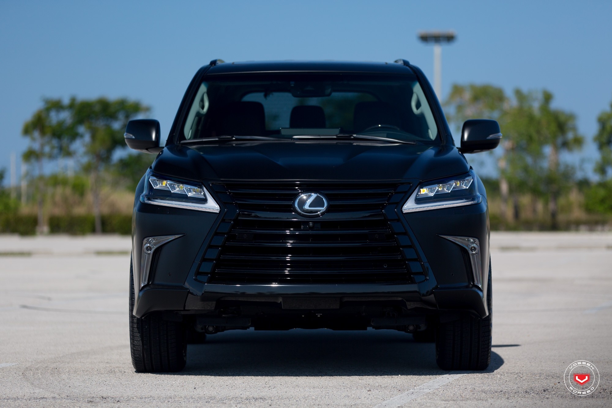 Lexus LX570 2016 do anh 3