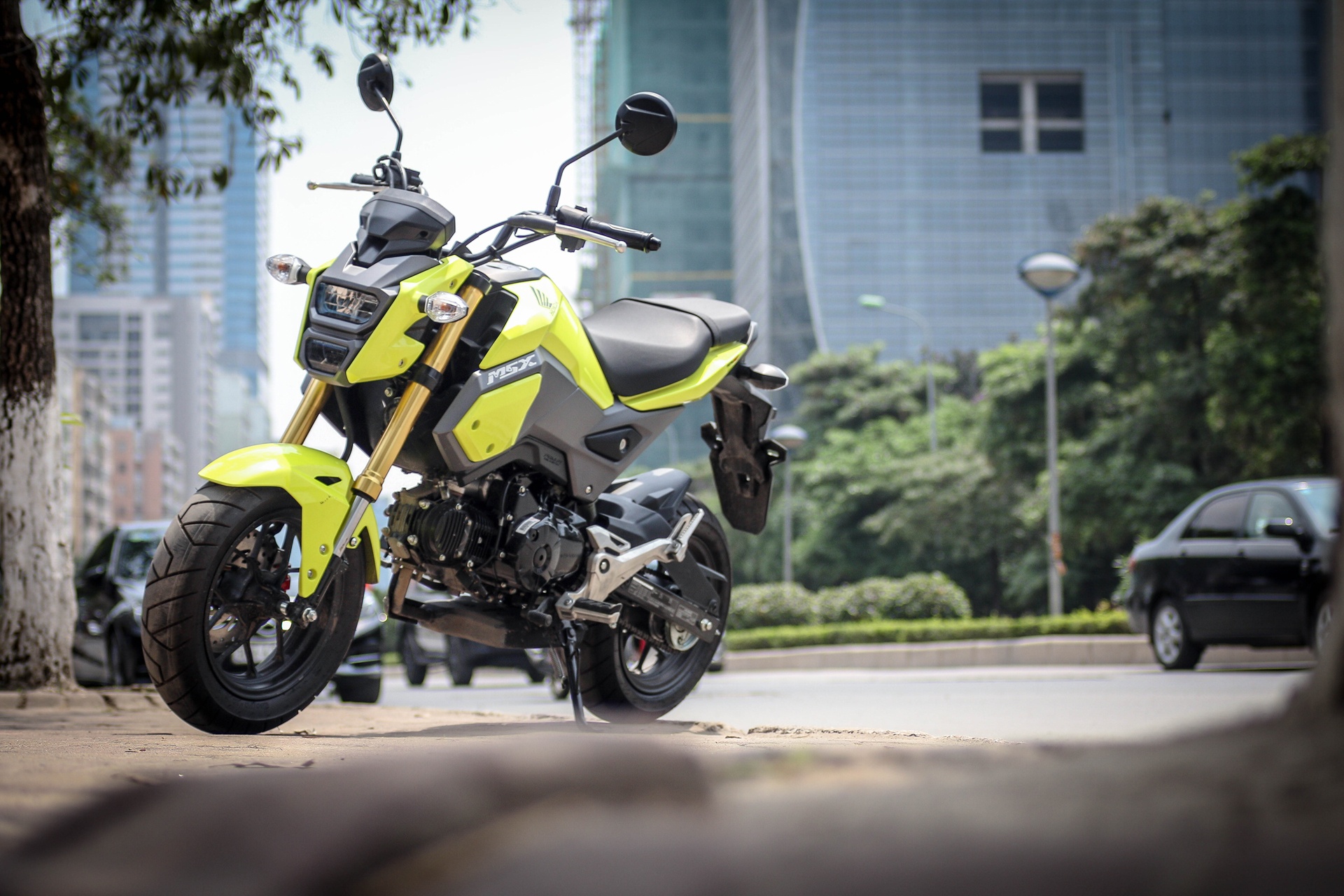 Honda MSX 125SF 2016 tai Ha Noi anh 2
