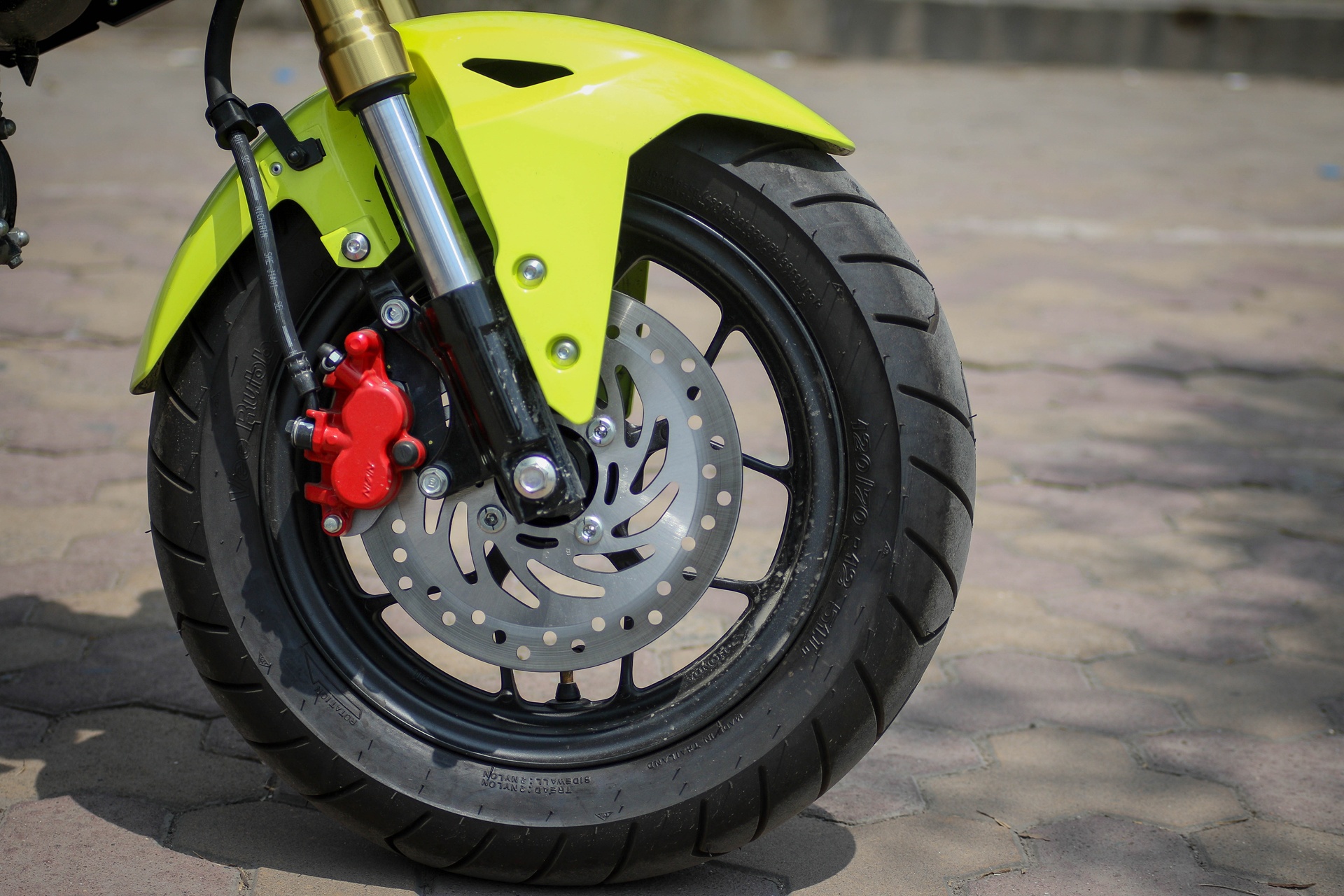 so sanh Honda MSX 2016 va Kawasaki Z125 anh 9