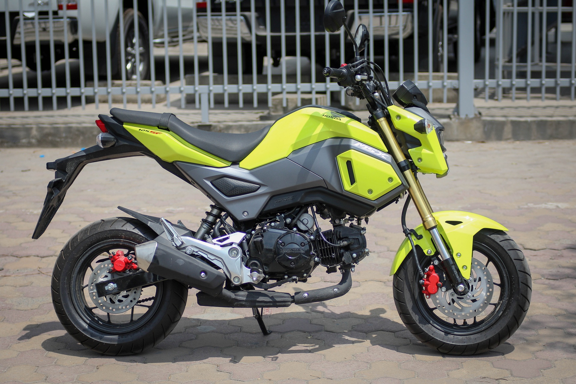 so sanh Honda MSX 2016 va Kawasaki Z125 anh 1