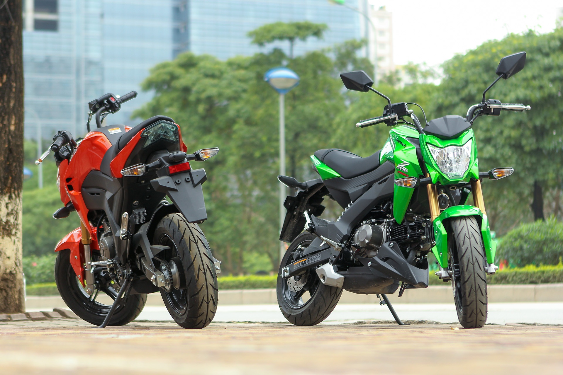 Do dang 2 minibike Nhat Ban dang ban tai VN hinh anh