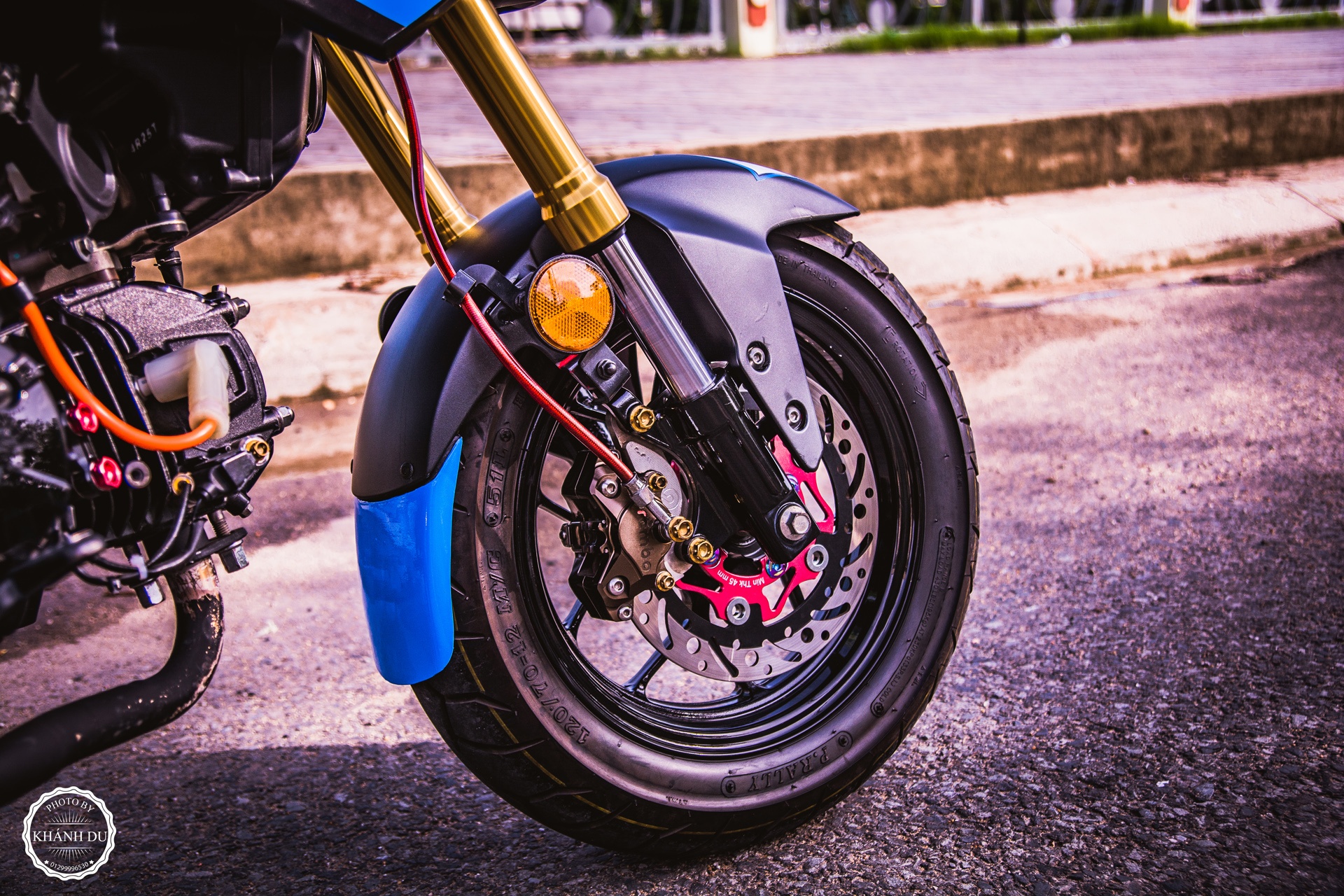 Honda MSX do dan vo anh 4