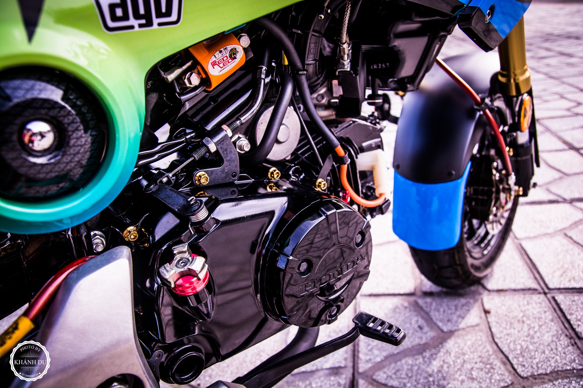 Honda MSX do dan vo anh 8