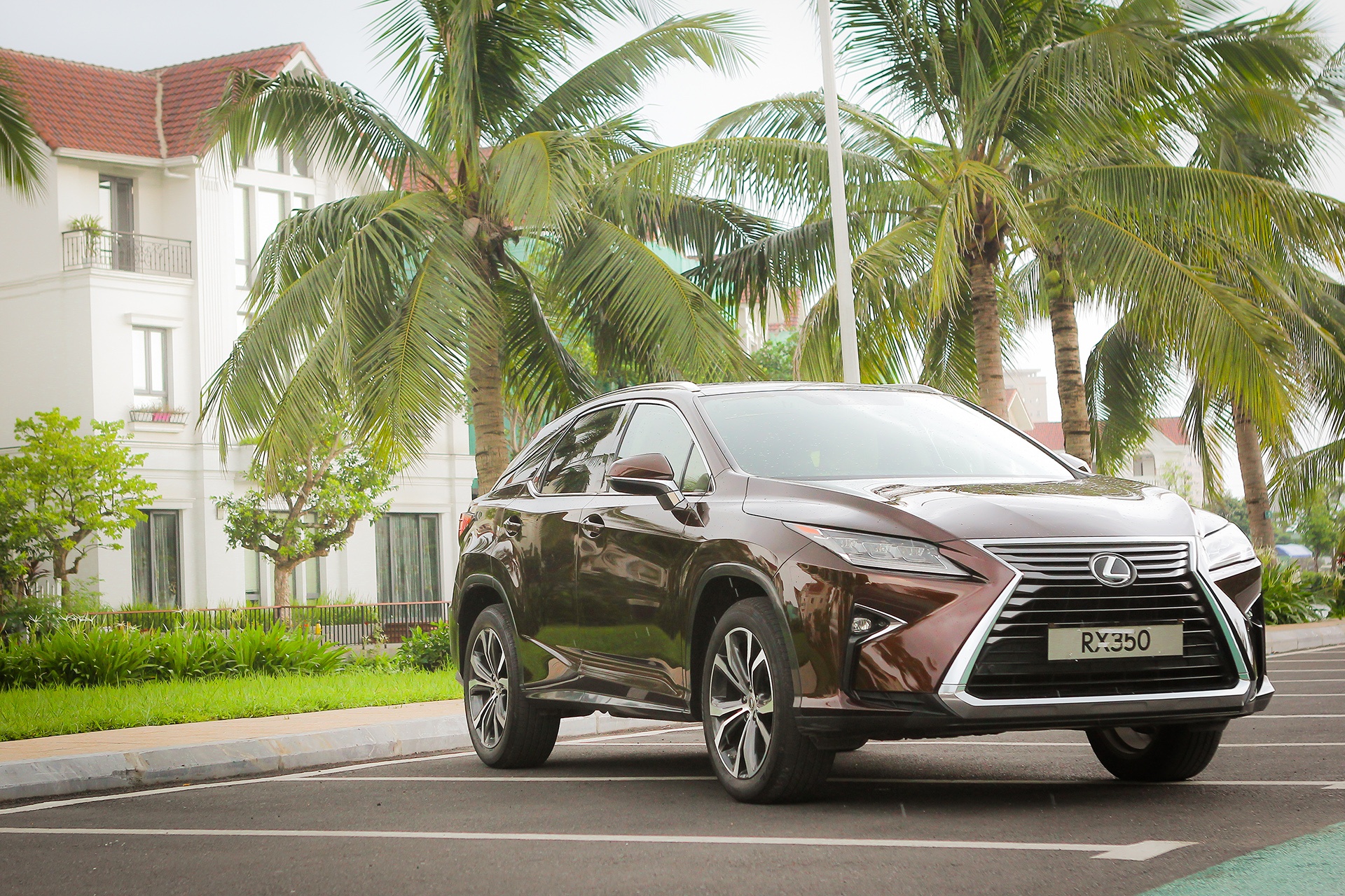 trieu hoi xe Lexus RX350 tai Viet Nam anh 1