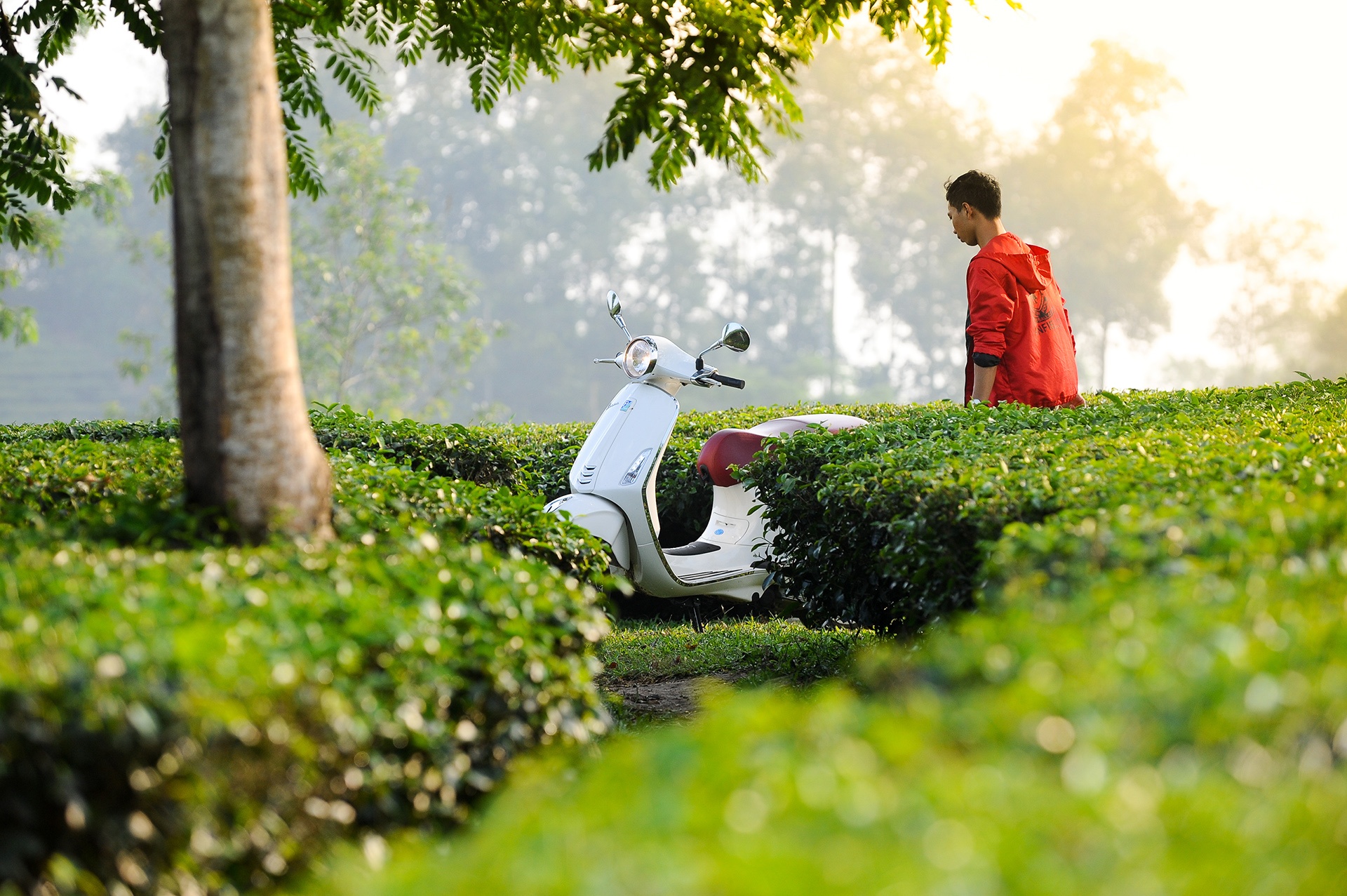 Phuot bang xe Vespa anh 5