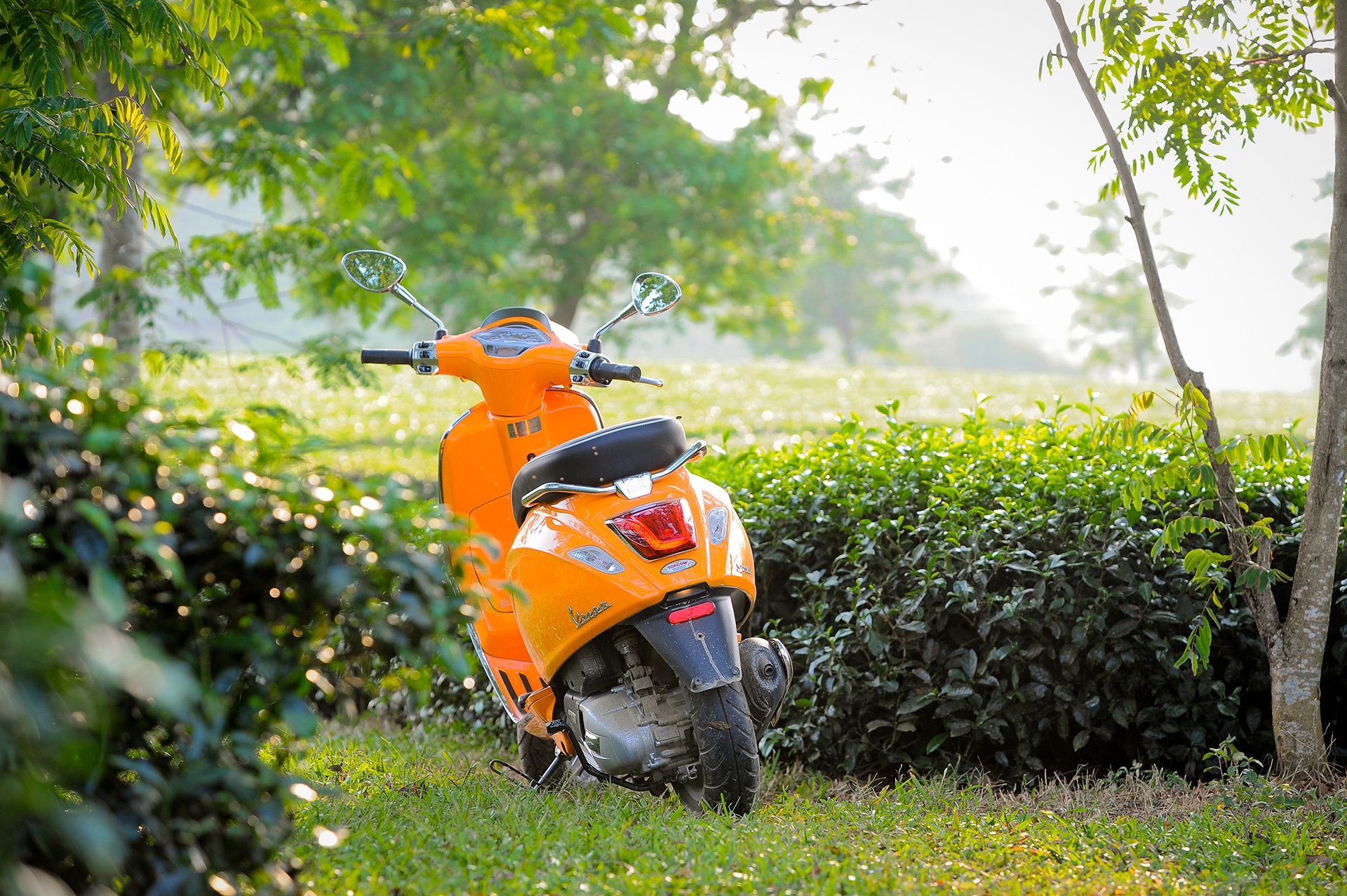 Phuot bang xe Vespa anh 9