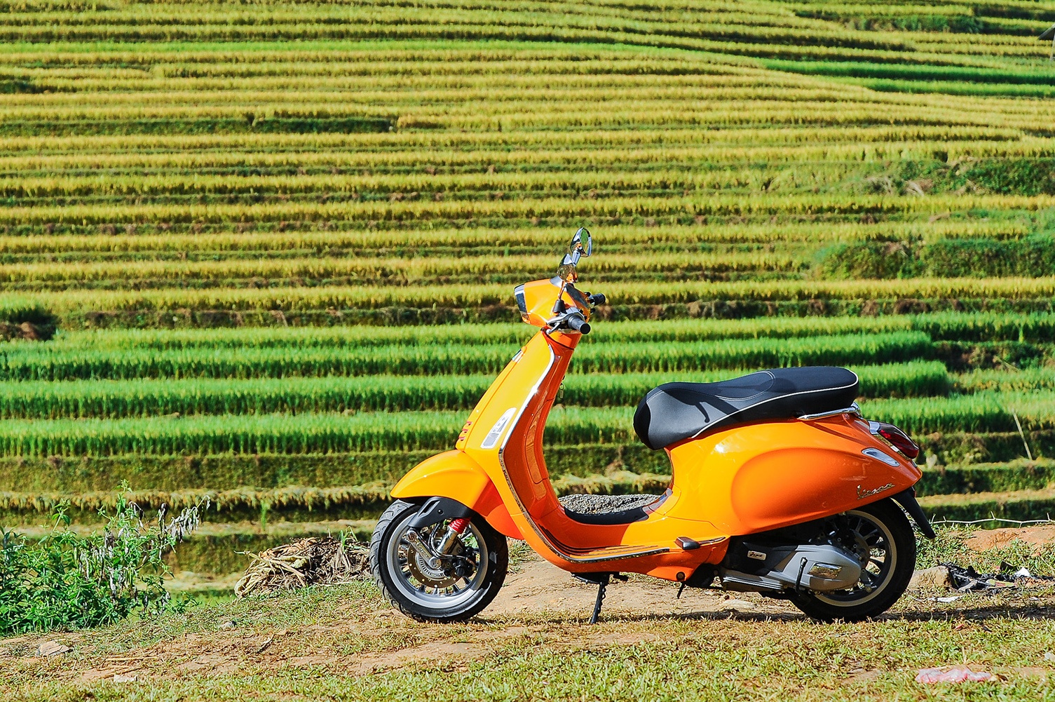 Chinh phuc mua vang Mu Cang Chai voi Vespa ABS hinh anh