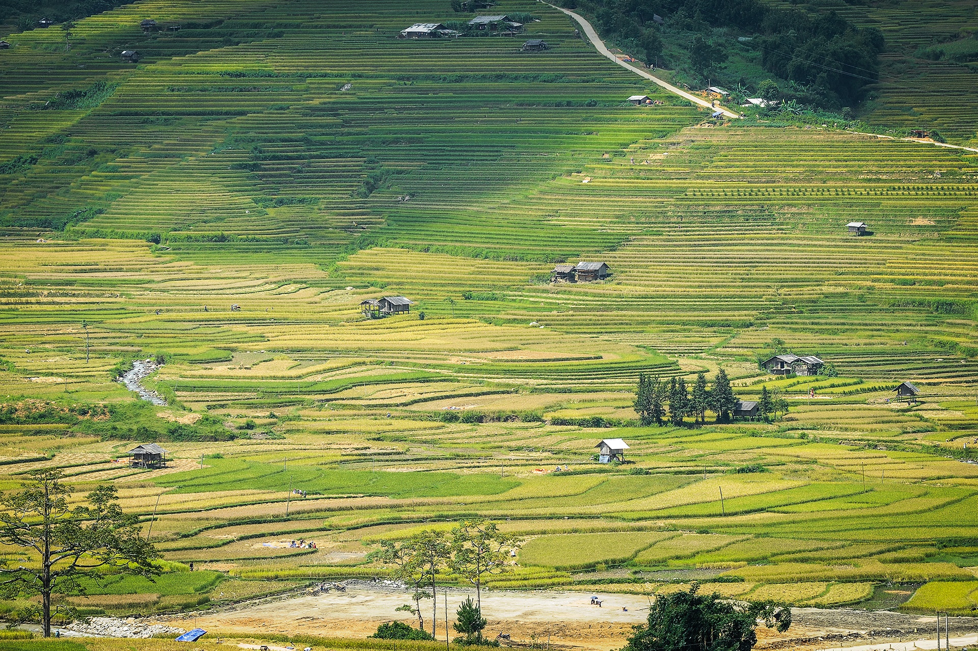 Phuot bang xe Vespa anh 13