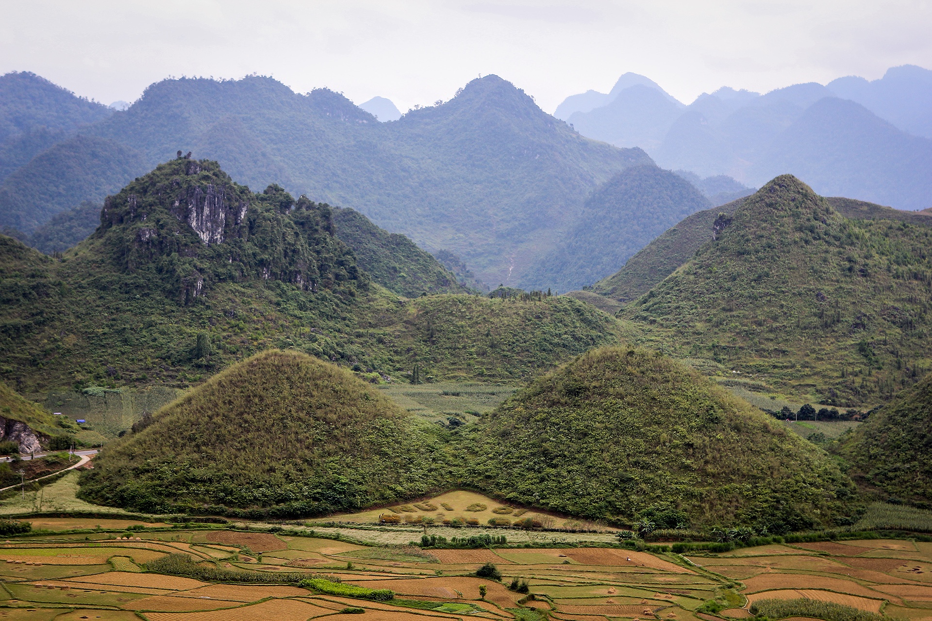 Vespa Sprint ABS Adventure anh 6