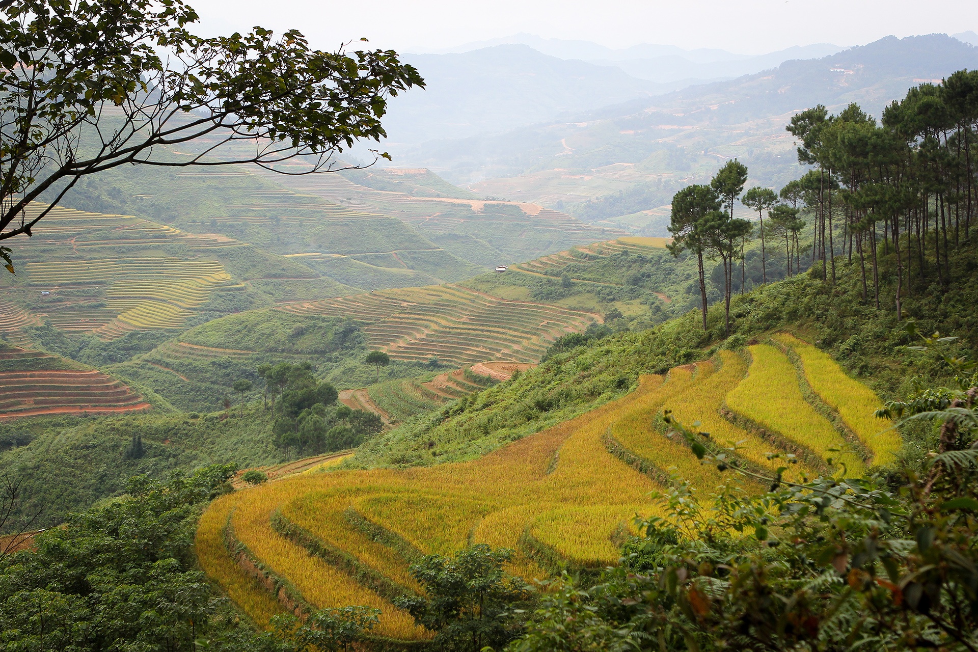 Vespa Sprint ABS Adventure anh 7