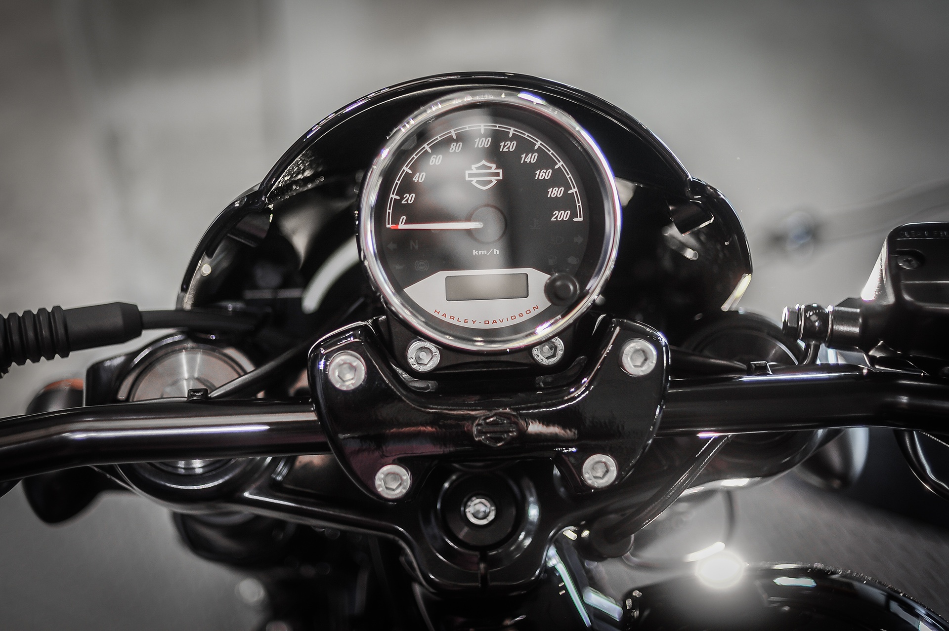 Harley-Davidson Street Rod 2017 ra mat anh 5