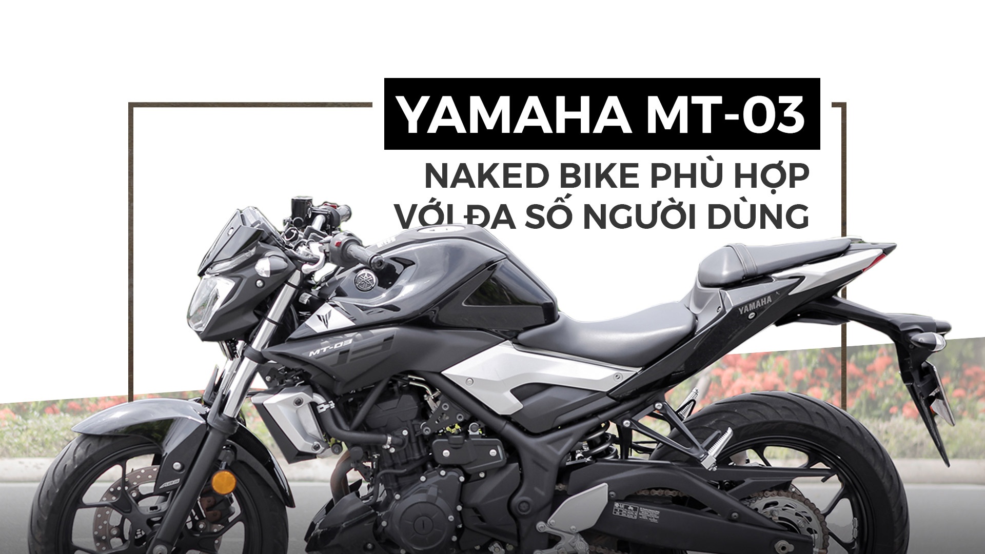 Danh gia Yamaha MT-03 anh 1