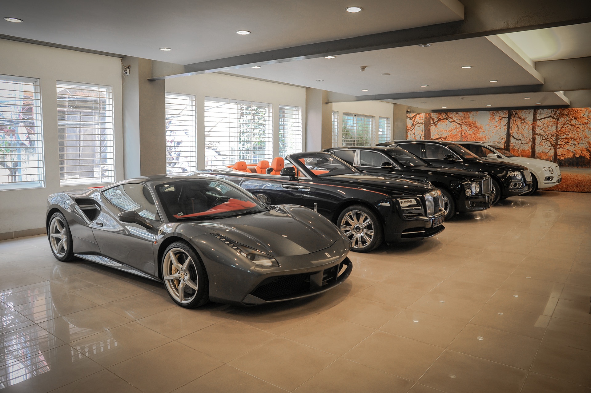 noi dung Nghi dinh 116/2017 anh 3